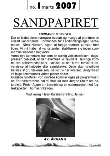 Sandpapiret 2007 nr. 1