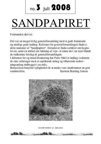 Sandpapiret 2008 nr. 3